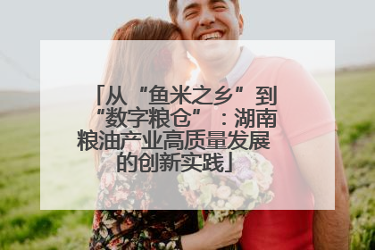 从“鱼米之乡”到“数字粮仓”：湖南粮油产业高质量发展的创新实践