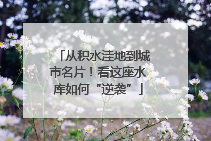 从积水洼地到城市名片！看这座水库如何“逆袭”