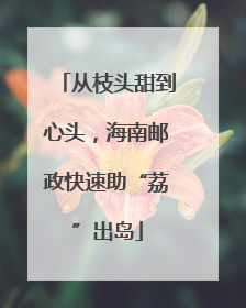 从枝头甜到心头，海南邮政快速助“荔”出岛
