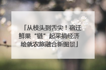 从枝头到舌尖！宿迁鲜果“链”起采摘经济绘就农旅融合新图景