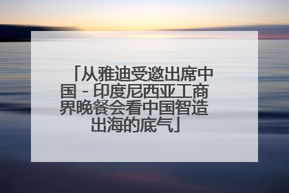 从雅迪受邀出席中国－印度尼西亚工商界晚餐会看中国智造出海的底气