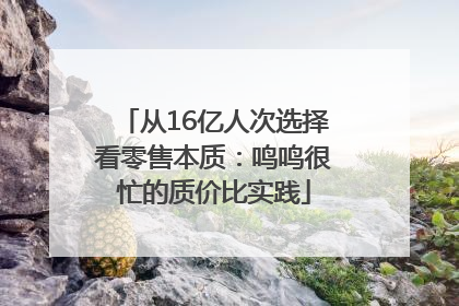 从16亿人次选择看零售本质：鸣鸣很忙的质价比实践