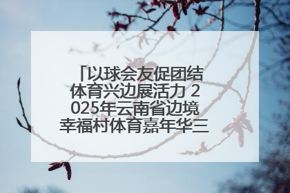 以球会友促团结 体育兴边展活力 2025年云南省边境幸福村体育嘉年华三人篮球赛圆满收官