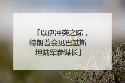 以伊冲突之际，特朗普会见巴基斯坦陆军参谋长