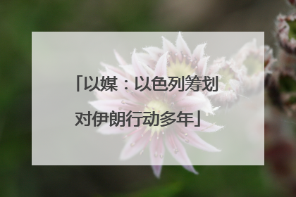 以媒：以色列筹划对伊朗行动多年