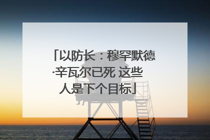 以防长：穆罕默德·辛瓦尔已死 这些人是下个目标
