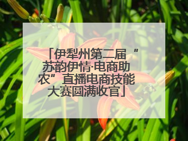 伊犁州第二届“苏韵伊情·电商助农”直播电商技能大赛圆满收官