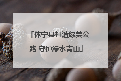 休宁县打造绿美公路 守护绿水青山