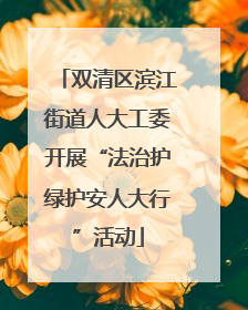 双清区滨江街道人大工委开展“法治护绿护安人大行”活动