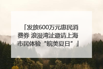 发放600万元惠民消费券 浪漫湾沚邀请上海市民体验“皖美夏日”
