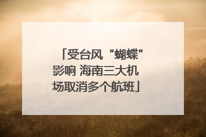 受台风“蝴蝶”影响 海南三大机场取消多个航班