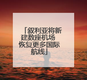 叙利亚将新建数座机场 恢复更多国际航线