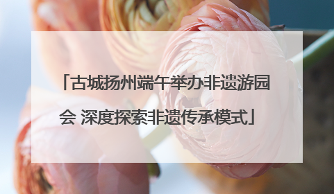 古城扬州端午举办非遗游园会 深度探索非遗传承模式