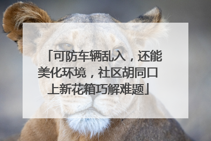 可防车辆乱入，还能美化环境，社区胡同口上新花箱巧解难题