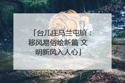 台儿庄马兰屯镇：移风易俗绘新篇 文明新风入人心