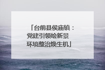 台前县侯庙镇：党建引领绘新景 环境整治焕生机