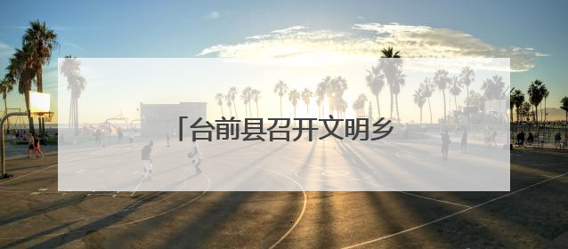 台前县召开文明乡风建设现场推进会