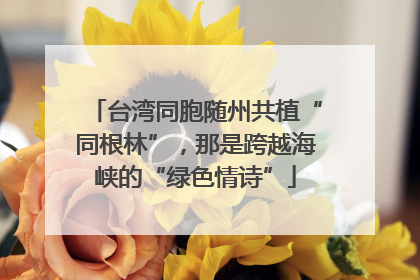 台湾同胞随州共植“同根林”，那是跨越海峡的“绿色情诗”
