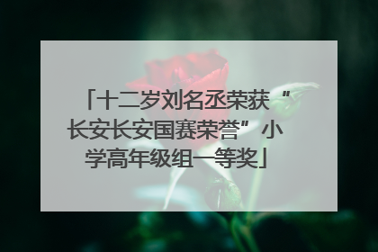 十二岁刘名丞荣获“长安长安国赛荣誉”小学高年级组一等奖