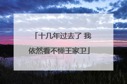 十几年过去了 我依然看不懂王家卫