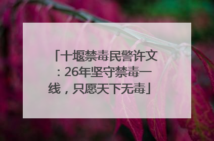 十堰禁毒民警许文：26年坚守禁毒一线，只愿天下无毒