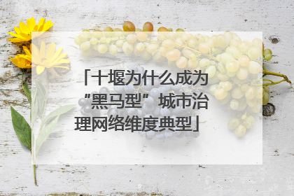 十堰为什么成为“黑马型”城市治理网络维度典型
