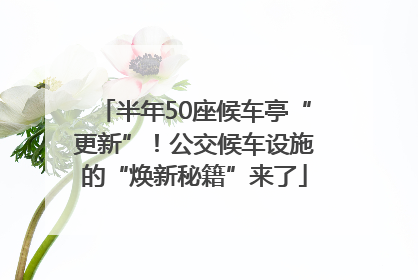 半年50座候车亭“更新”！公交候车设施的“焕新秘籍”来了