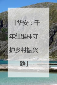 华安：千年红锥林守护乡村振兴路