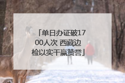 单日办证破1700人次 西藏边检以实干赢赞誉
