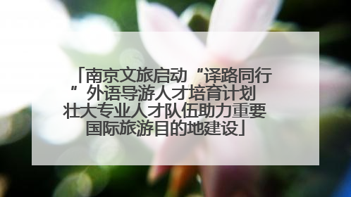 南京文旅启动“译路同行”外语导游人才培育计划 壮大专业人才队伍助力重要国际旅游目的地建设