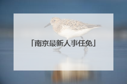 南京最新人事任免