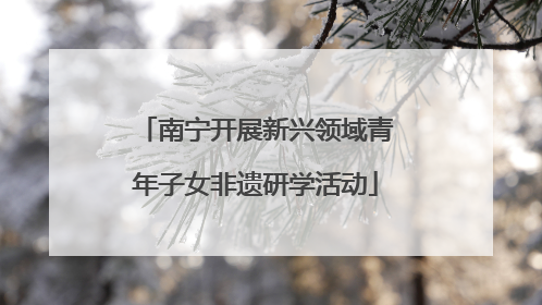 南宁开展新兴领域青年子女非遗研学活动