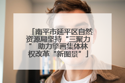 南平市延平区自然资源局坚持“三聚力” 助力擎画集体林权改革“新图景”
