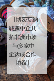 博茨瓦纳诚邀中企共拓非洲市场 与多家中企达成合作协议