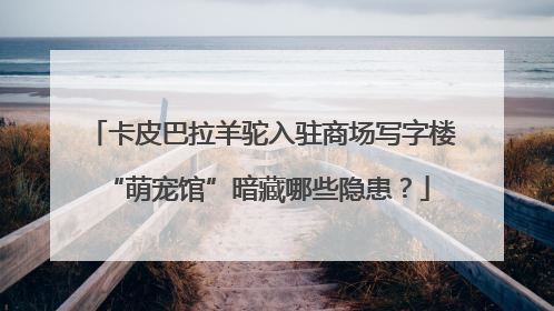 卡皮巴拉羊驼入驻商场写字楼 “萌宠馆”暗藏哪些隐患？