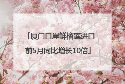 厦门口岸鲜榴莲进口 前5月同比增长10倍