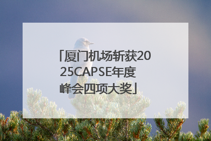厦门机场斩获2025CAPSE年度峰会四项大奖