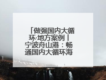 做强国内大循环·地方案例丨宁波舟山港：畅通国内大循环海铁联运走天下