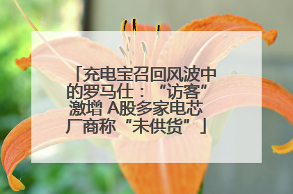 充电宝召回风波中的罗马仕：“访客”激增 A股多家电芯厂商称“未供货”
