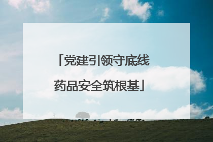 党建引领守底线 药品安全筑根基