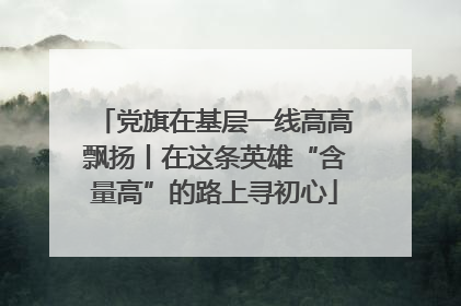 党旗在基层一线高高飘扬丨在这条英雄“含量高”的路上寻初心