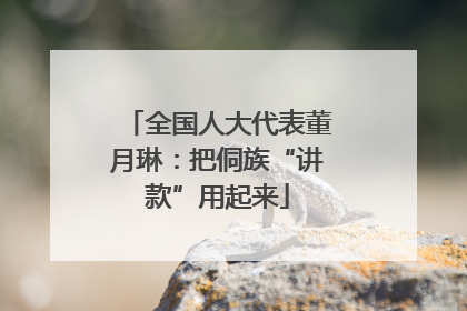 全国人大代表董月琳：把侗族“讲款”用起来