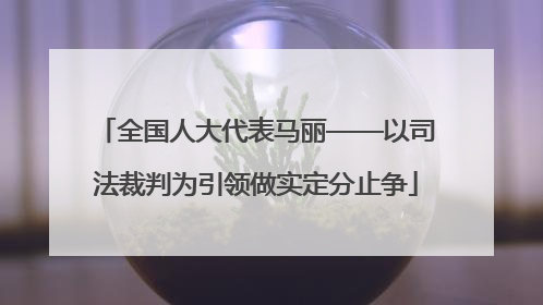 全国人大代表马丽——以司法裁判为引领做实定分止争