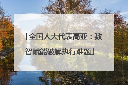 全国人大代表高亚：数智赋能破解执行难题