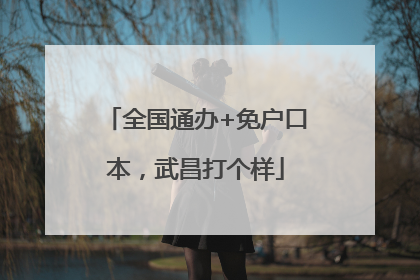 全国通办+免户口本，武昌打个样