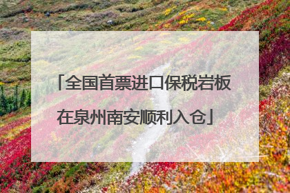 全国首票进口保税岩板在泉州南安顺利入仓