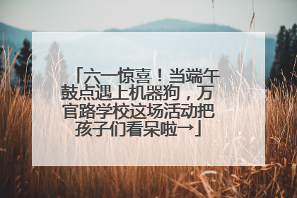 六一惊喜！当端午鼓点遇上机器狗，万官路学校这场活动把孩子们看呆啦→