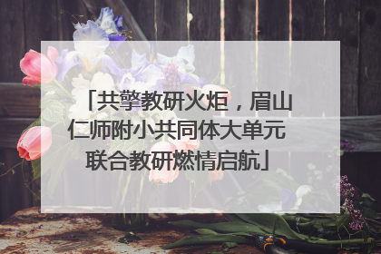 共擎教研火炬，眉山仁师附小共同体大单元联合教研燃情启航