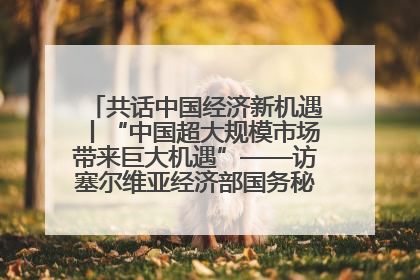 共话中国经济新机遇丨“中国超大规模市场带来巨大机遇”——访塞尔维亚经济部国务秘书尼科利奇