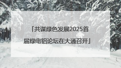 共谋绿色发展2025首届绿电铝论坛在大通召开